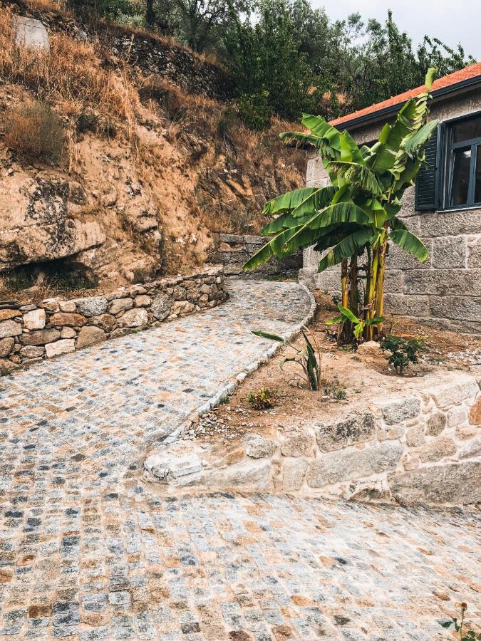 Quinta Do Fojo Valonguinho, Barro Bed and Breakfast Barro  Exteriör bild